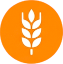 gluten